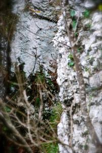 DSC_4028