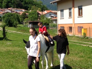 IMG_3560